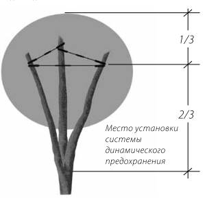 Схемы установки статического и динамического укреплений.