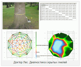 оценки состояния древесины дерева акустическая томография